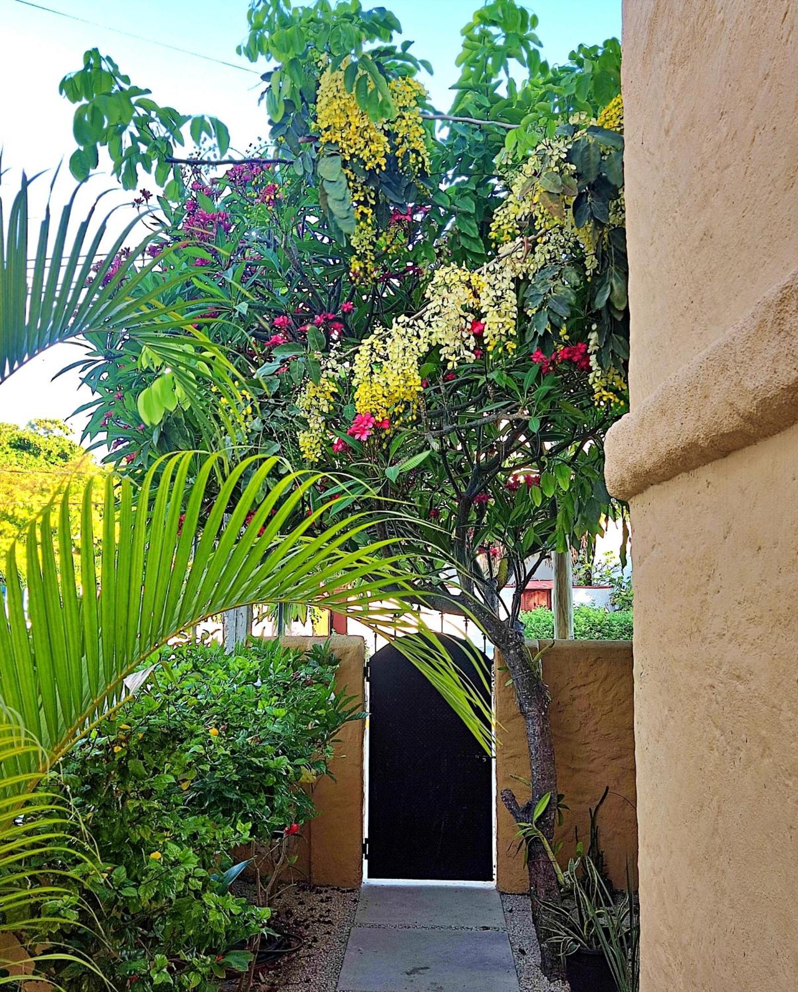 Studio Norte, Casa Brisamar Puerto Morelos Ngoại thất bức ảnh